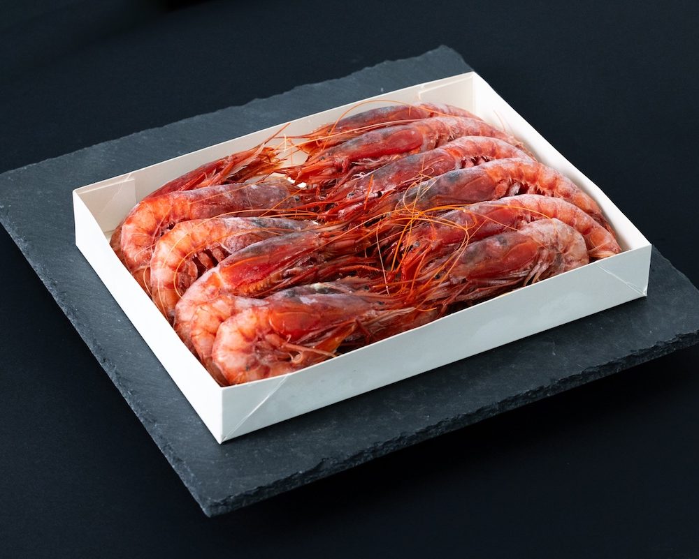 Shrimp Red Mazara I